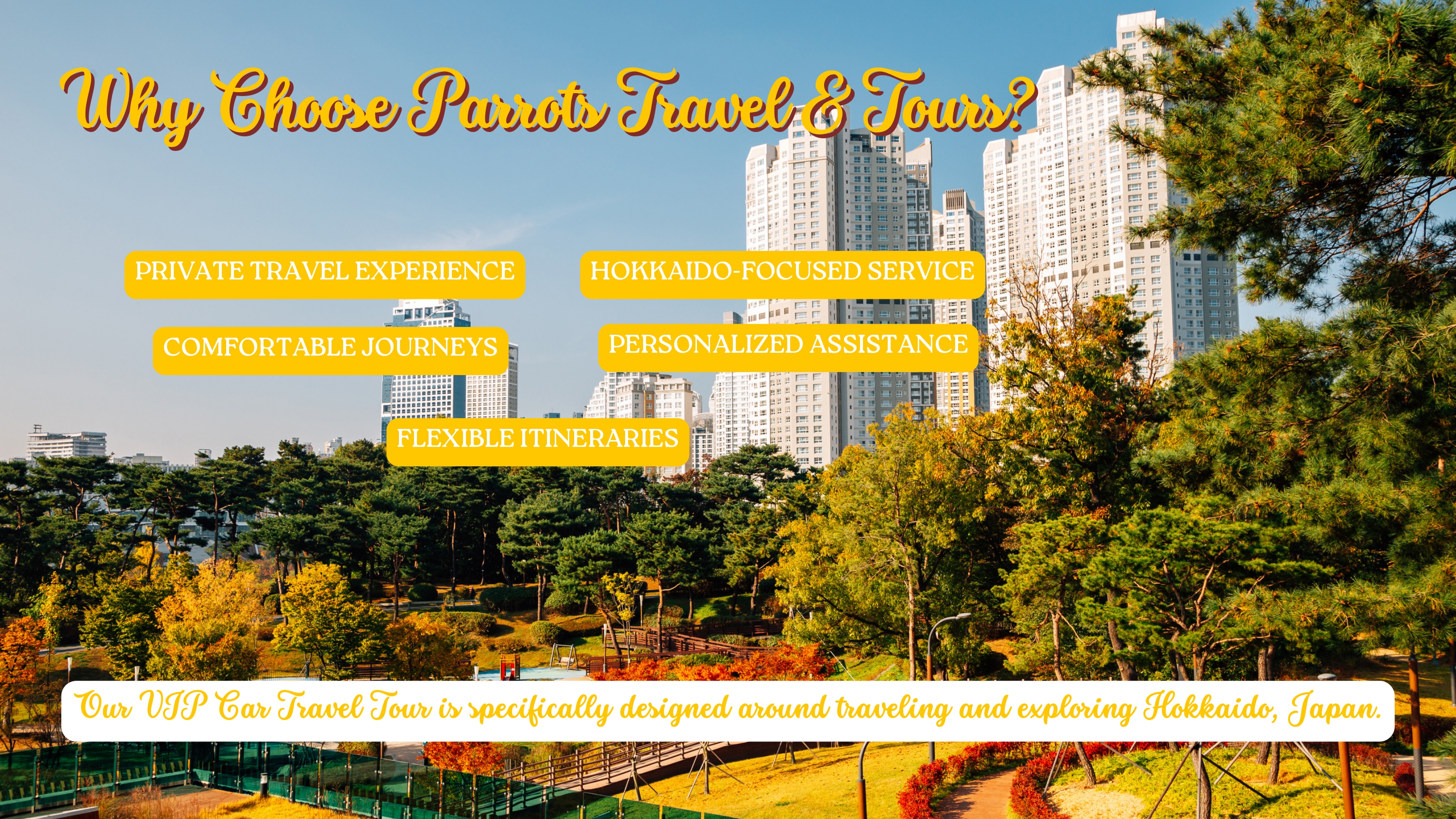 Our Services