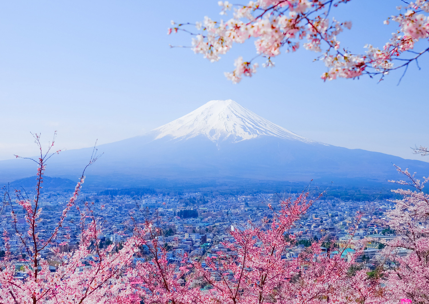 Mt. Fuji